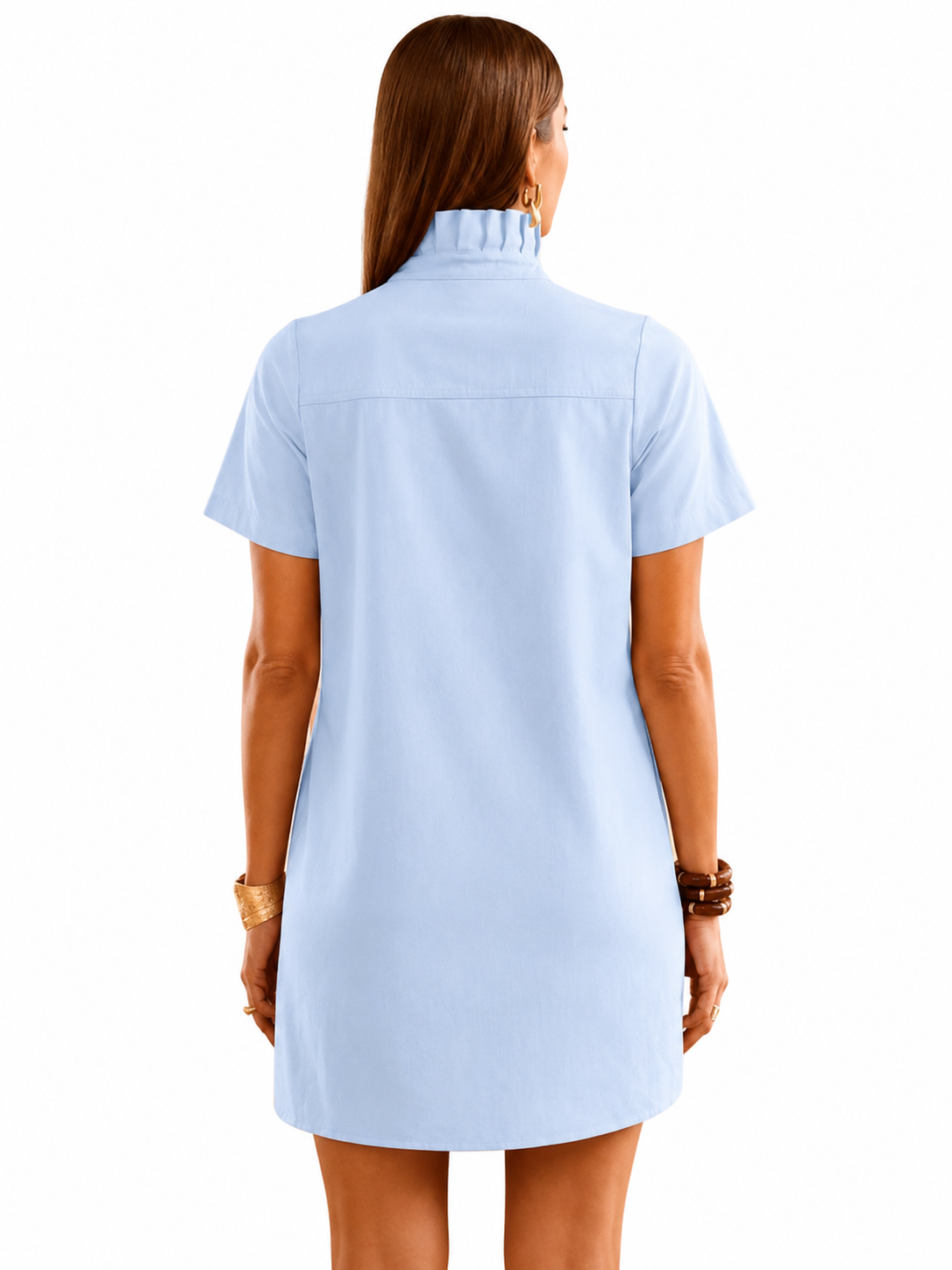 Ruffle Collar Mini Dress